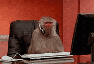 Monkey At Computer Desk With Headset GIF