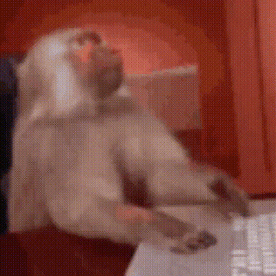 Monkey At Desk Using Computer Mouse GIF
