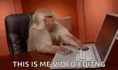 Monkey At Desk Using Computer Mouse GIF