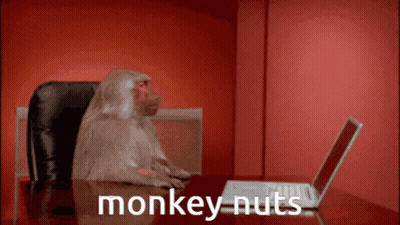 Monkey At Desk With Laptop And Monkey Nuts On Table GIF