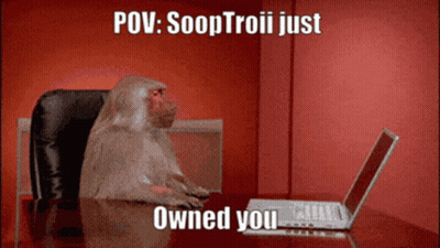 Monkey At Desk With Laptop Caption POV Soaptroii Just Owned You GIF