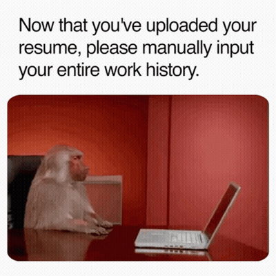 Monkey At Desk With Laptop Saying Now That You've Uploaded Your Resume GIF