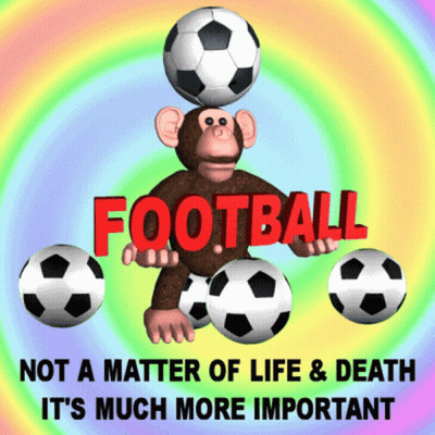 Monkey Balancing Soccer Ball With Football Not A Matter Of Life & Death GIF