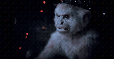 Monkey Bill Armstrong Can't Keep Getting Away With It GIF