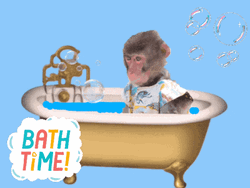 Monkey Brown Sitting Bath Tub Time GIF