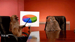 Monkey Business Presentation GIF