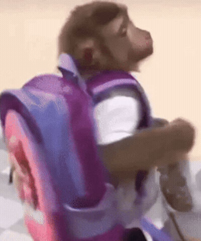 Monkey Carrying Pink Backpack GIF