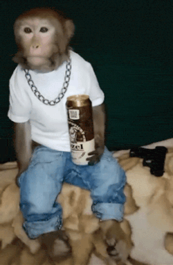 Monkey Chill Monkey GIF