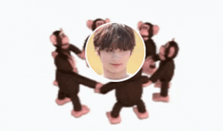 Monkey Circle Aira GIF