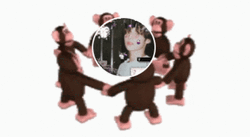 Monkey Circle Brunette Hyuka GIF