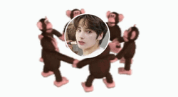 Monkey Circle Brunette Kai Super Cute GIF