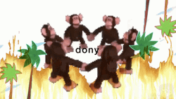 Monkey Circle Dony GIF