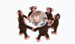 Monkey Circle  GIF
