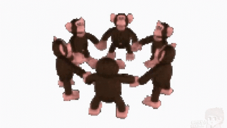 Monkey Circle Spinnning GIF