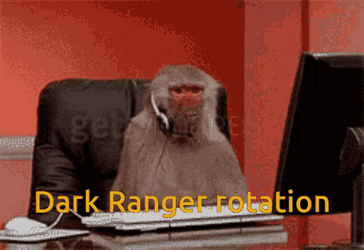 Monkey Computer Dark Ranger Rotation GIF