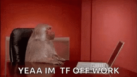 Monkey Computer Off To Work GIF
