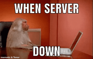 Monkey Computer When Servers Down GIF