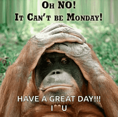 Monkey Covering Face Oh No It Can't Be Monday Have A Great Day GIF