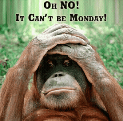 Monkey Covering Face Saying Oh No It Can't Be Monday GIF