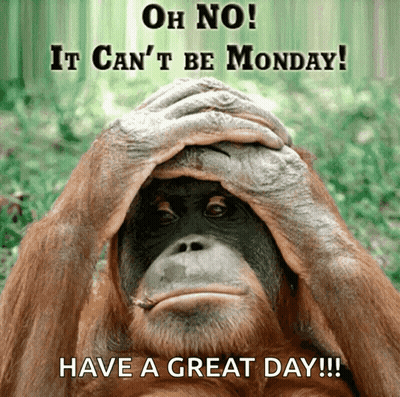 Monkey Covering Face Saying Oh No It Can't Be Monday GIF