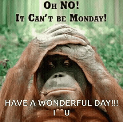Monkey Covering Face Saying Oh No Monday GIF