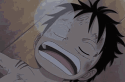 Monkey D. Luffy Anime Sleeping Bubble Drool