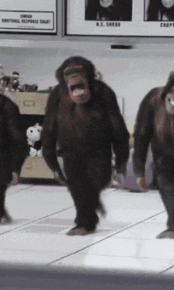 Monkey Dance Funny GIF