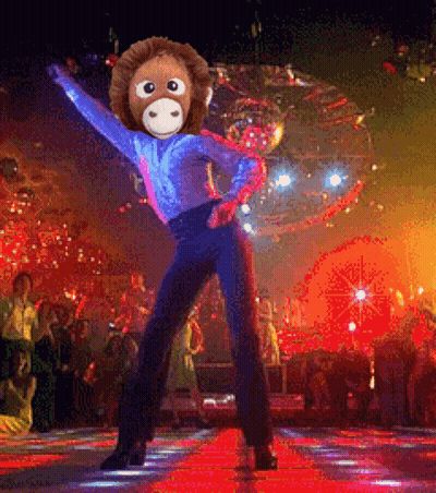 Monkey Dancing In Front Of Disco Ball In Club GIF