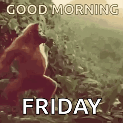 Monkey Dancing In Jungle Friday GIF