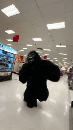 Monkey Dancing Inside Store GIF