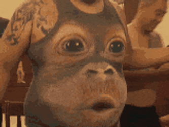 Monkey Dancing On Sando Shirt Tummy GIF