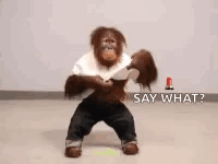 Monkey Dancing Saying Say What GIF