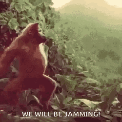 Monkey Dancing We Will Be Jamming GIF