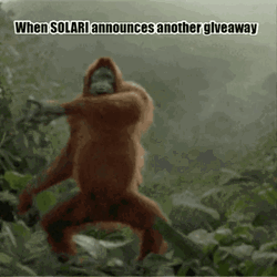 Monkey Dancing When Solar Announces Another Giveaway GIF