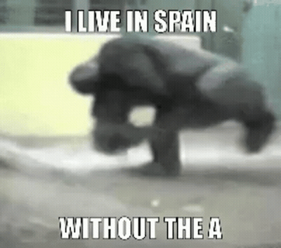 Monkey Doing Handstand Saying I Live In Spain Without The A GIF