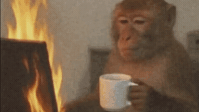 Monkey Drinking Coffee In Front Of Fire GIF
