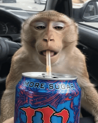 Monkey Drinking More Sugar Can With Straw GIF