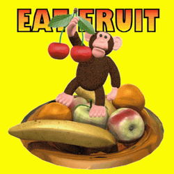 Monkey Eat Fruit GIF