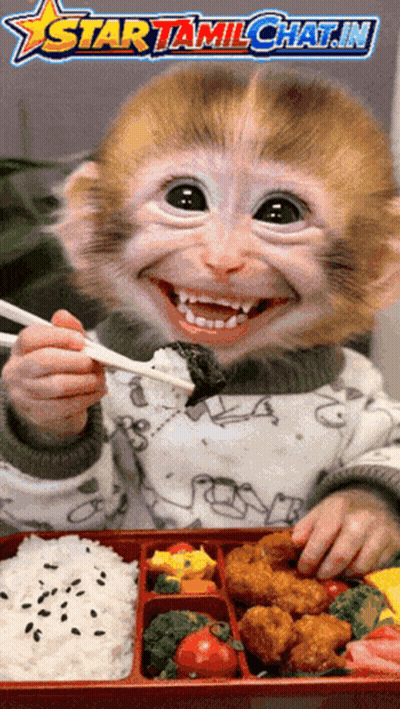 Monkey Eating Food With Star Tamil Chat.in Logo GIF
