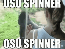 Monkey Entry In Osu Spinner Challenge GIF