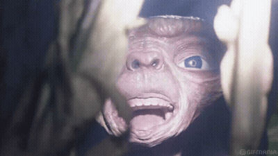 Monkey Face Close Up GIF