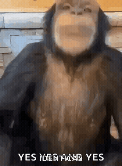 Monkey Face Saying Yes Identified Yes GIF