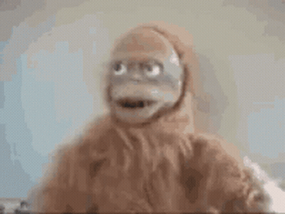 Monkey Face With Big Blue Eyes Looking At Camera GIF
