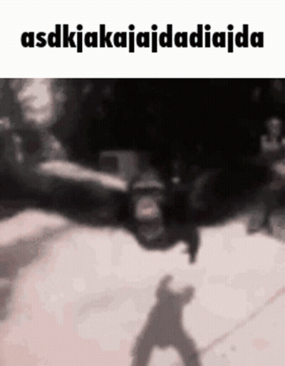 Monkey Flying Through Air GIF