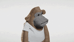 Monkey Got Angry Says Hmph GIF