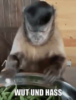 Monkey Half Beans Wut GIF