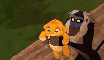 Monkey Holding Baby Lion GIF