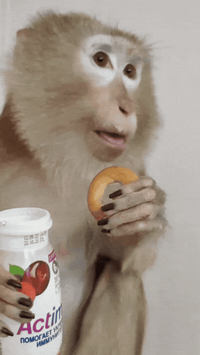 Monkey Holding Bottle Of Actimel And Donut GIF