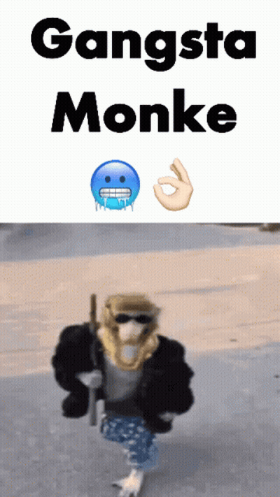 Monkey Holding Gun Gangsta Monke GIF