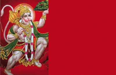 Monkey Holding Leaf With Red Background